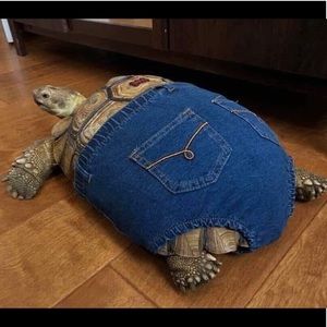 Meet your Posher, Jesse